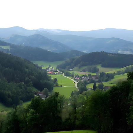 Ruhige Schwarzwald Ferienwohnung Buchenbach  Экстерьер фото