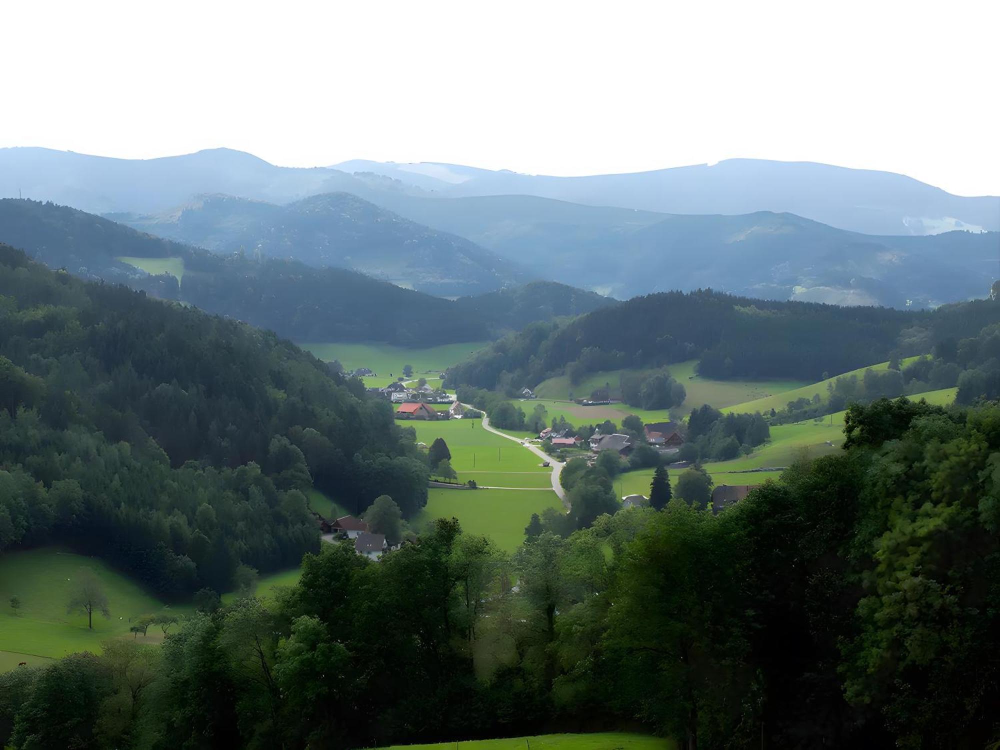 Ruhige Schwarzwald Ferienwohnung Buchenbach  Экстерьер фото